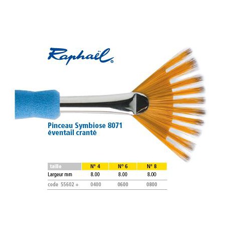pinceaux raphael fibre synthétique Evantail P8071-8
