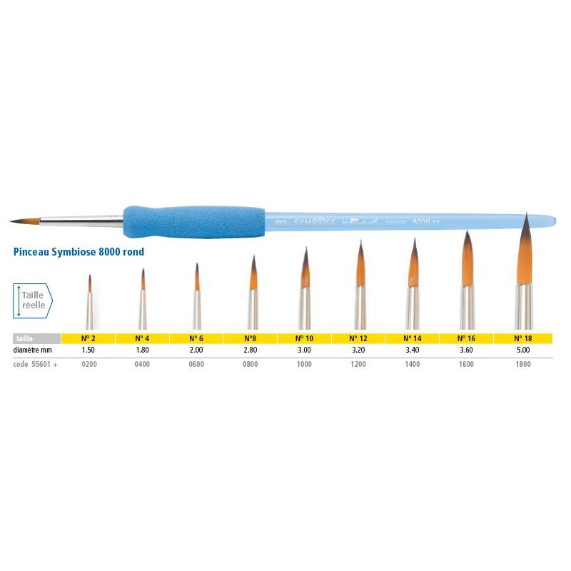 pinceaux raphael fibre synthétique ROND P8000-14
